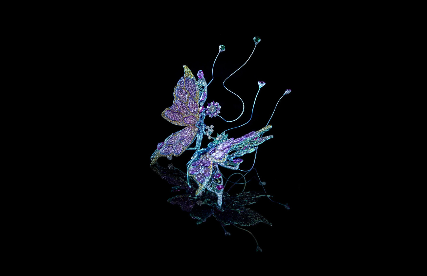 Butterfly Nebula, 2018